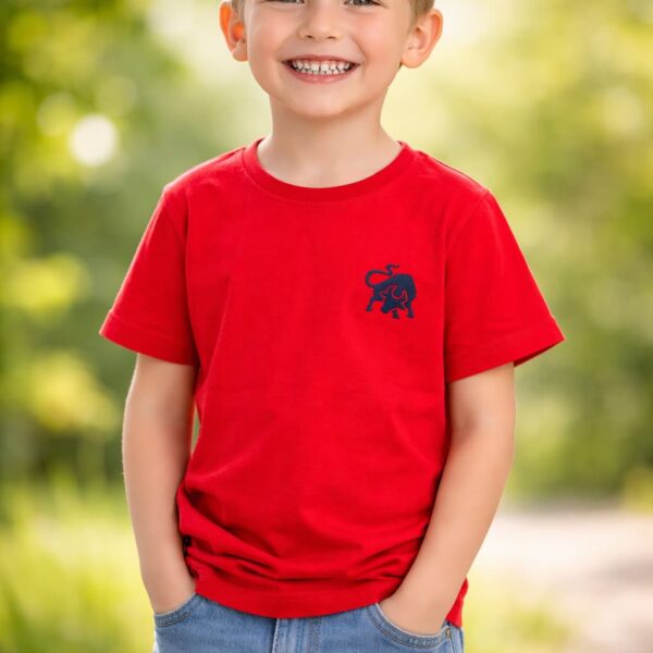 Czerwono-niebieska koszulka chłopięca z krótkim rękawem Entlik