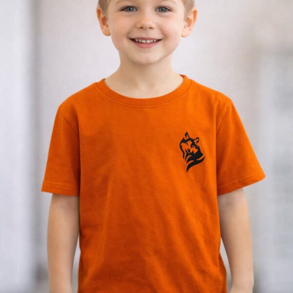 Szara koszulka dziewczęca z długim rękawem z kolorowym sercem Entlik